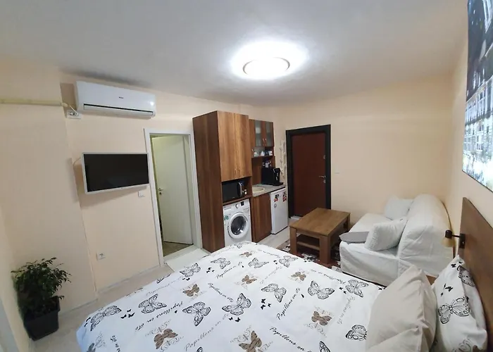 Malavi Dv1 Small Center *